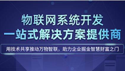 麗水軟件開發公司 專業農場游戲與拍賣商城系統開發及軟件外包服務
